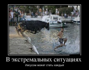 Прикольные статусы про экстрим