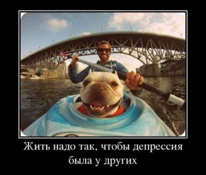 Прикольные мудрые высказывания