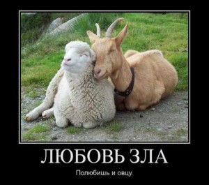 Демотиваторы о любви и отношениях