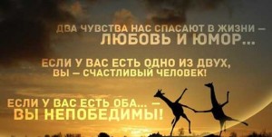 Афоризмы о жизни и любви