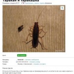 Прикольные объявления на avito