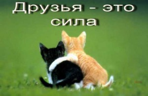 Статусы в вк для друзей