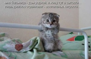 Прикольные статусы про больницу