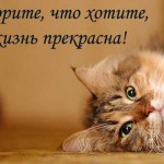 Прикольные позитивные статусы для поднятия настроения