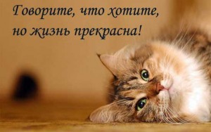 Прикольные позитивные статусы для поднятия настроения