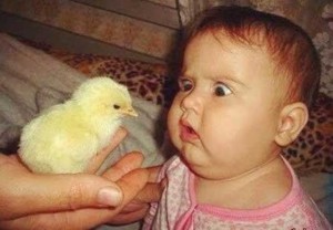 Смешные моменты в жизни - видео