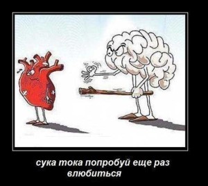 Смешные статусы о жизни со смыслом