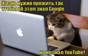 Шуточные афоризмы про жизнь