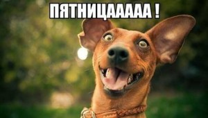 Прикольные фотки про пятницу