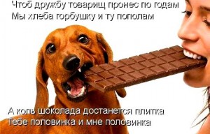 Смешные фразы про дружбу