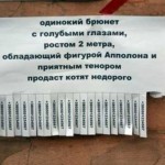 Прикольные объявления о продаже котят