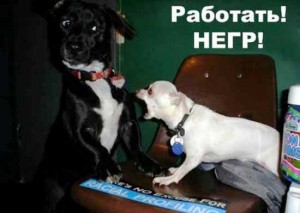 Смешные картинки про начальство