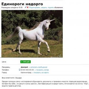 Смешные объявления про животных