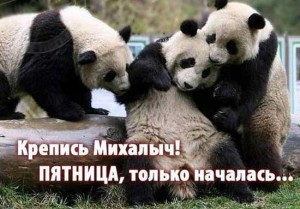 Приколы на тему пятница