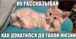 Смешные картинки про жизнь
