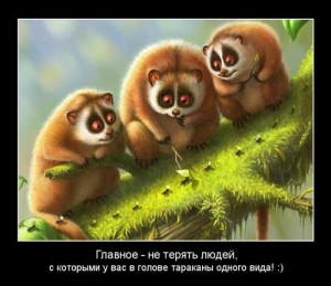 Веселые картинки про дружбу