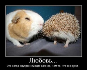 Прикольные картинки про любовь