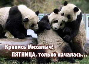 Прикольные картинки про пятницу