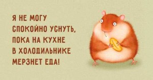 Забавные картинки с надписями о любителях поесть