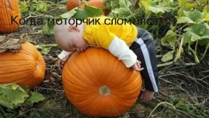 Веселые подписи к детским фотографиям