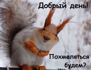 Картинки приколы про похмелье