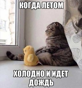 Юмор про плохую погоду