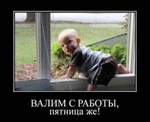 Смешные фото приколы с надписями про пятницу