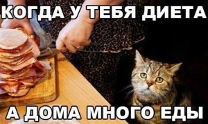 Смешные фото с надписями о диете