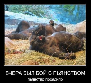 Прикольные картинки про пьянку