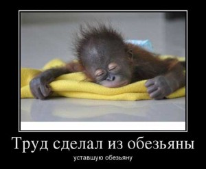 Прикольные статусы про усталость на работе