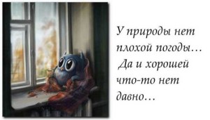 Смешные высказывания про плохую погоду