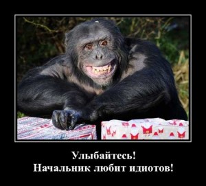 Анекдоты про тупого шефа