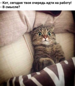 Смешные картинки с надписями про работу