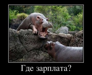 Картинки приколы про зарплату