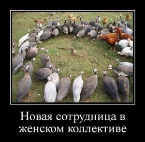 Смешные афоризмы про рабочий коллектив