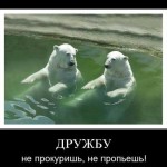 Смешные стихи про друзей