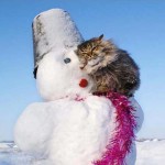 Смешные стихи про зиму