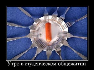 Демотиваторы про общагу