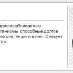 Шутки про дизайнеров