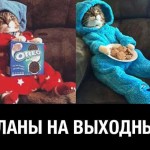 Веселые стихи о выходных