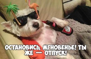 Прикольные картинки про отпуск