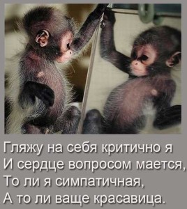 Картинки с обезьянками со смешными надписями