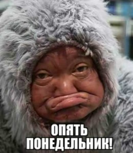 Картинки приколы про понедельник