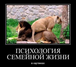 Веселые картинки про семейную жизнь