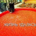 Статусы жизнь удалась