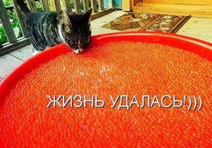 Статусы жизнь удалась