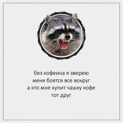 Смешные стишки про кофе